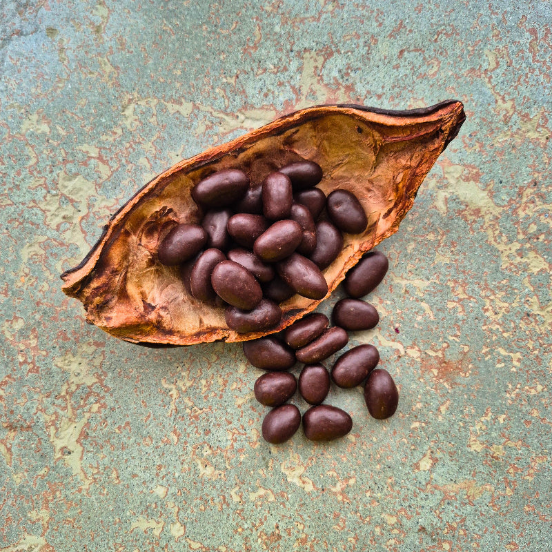 Karamellisierte Kakaobohnen in dunkler und Vollmilchschokolade