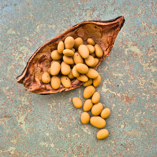 Karamellisierte Mandeln umhüllt mit heller Karamellschokolade