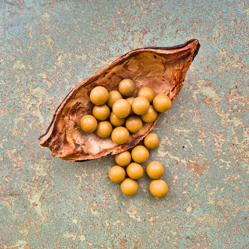 Karamellisierte Haselnüsse umhüllt mit Vollmilch- und heller Karamellschokolade