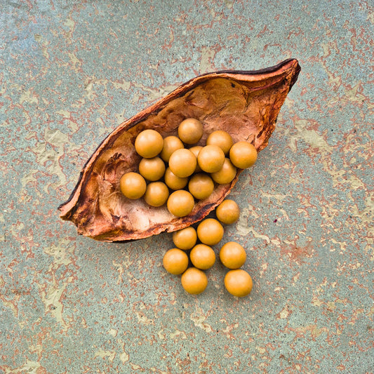 Karamellisierte Haselnüsse umhüllt mit Vollmilch- und heller Karamellschokolade
